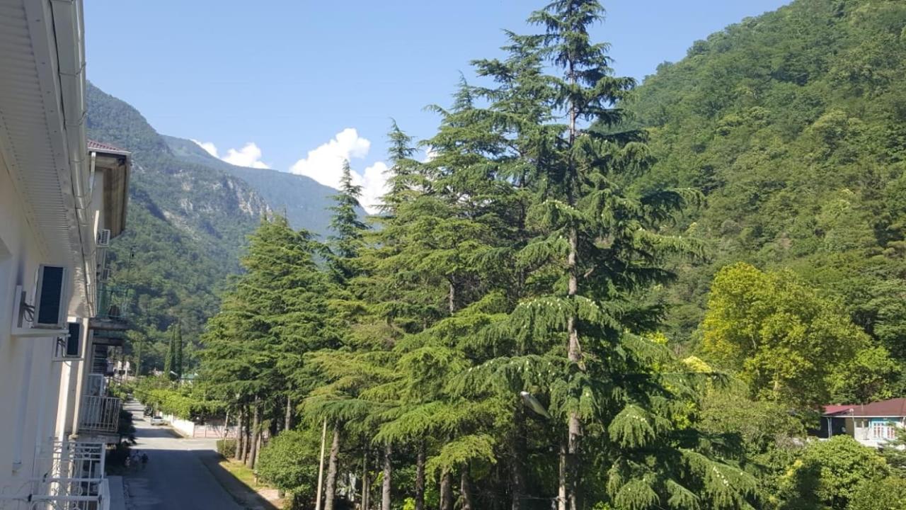Guest House Gorny Ruchei Gagra Bagian luar foto